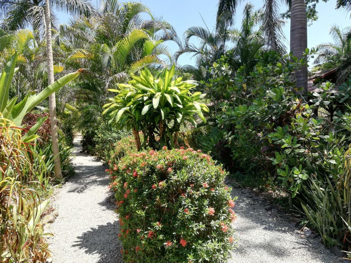 Mundo Goub'Art Bed and Breakfast Cabuya  Εξωτερικό φωτογραφία
