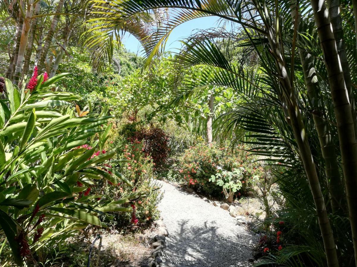 Mundo Goub'Art Bed and Breakfast Cabuya  Εξωτερικό φωτογραφία